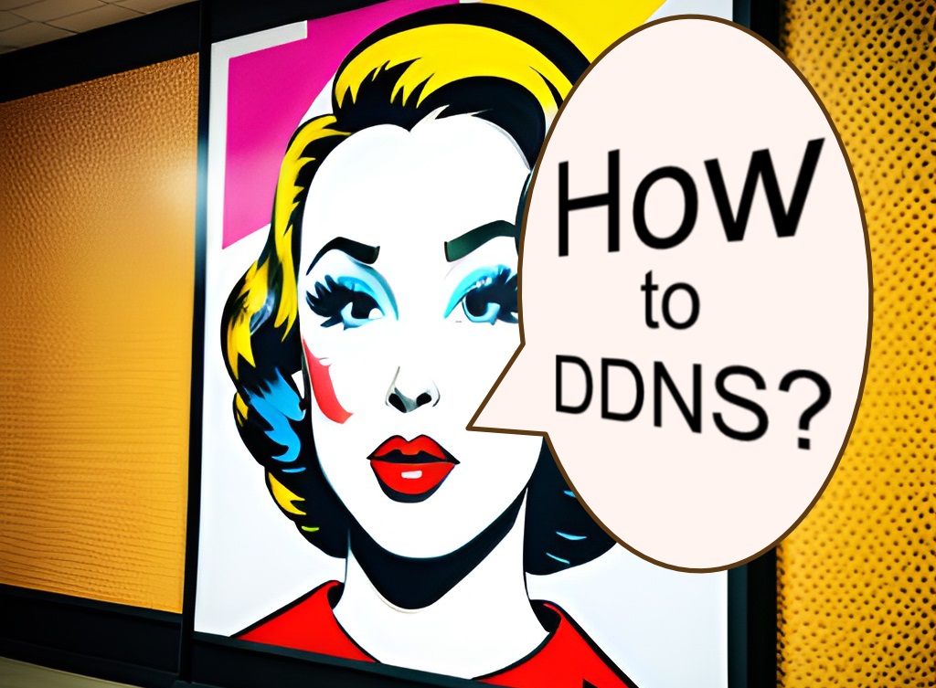 How to DDNS